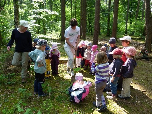 wir pflanzen ein Beet im Wald