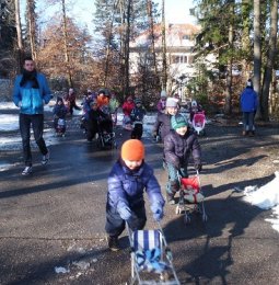 Spaziergang mit den "Babys"