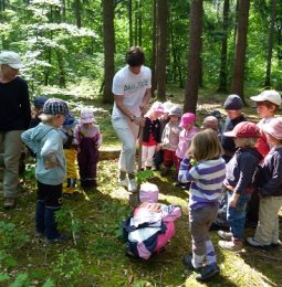 wir pflanzen ein Beet im Wald