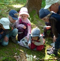 was krabbelt denn da im Wald?